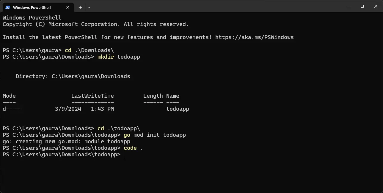 Terminal Image creating a new directory and initializing a new Go module